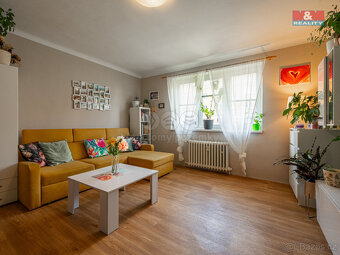 Prodej bytu 3+1, 65 m², Týnec nad Sázavou, ul. Družstevní - 3