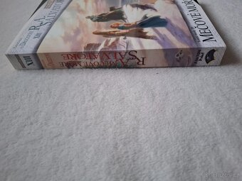 Mečové moře - R.A. Salvatore - 3