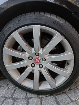 Kola Jaguar 19 Carelia - 3