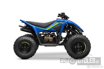 CFMOTO Gladiator X 110 LE - 3