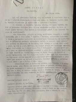 Luděk Marold - Syn Ludvík - 3