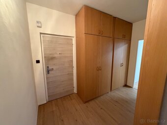 Pronájem 1+1 - 3