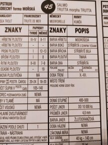 Knihy, rady pro rybáře - 3