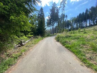 Lesní pozemek Kladruby u Vlašimi - 3