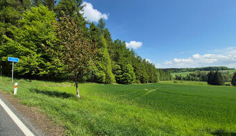 Prodej pozemku 7429 m2 v malebné krajině v obci Borová - 3