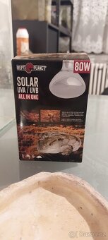 Terarium 40x40x60 - 3