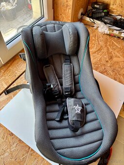 Miminkovník Qeridoo - 3