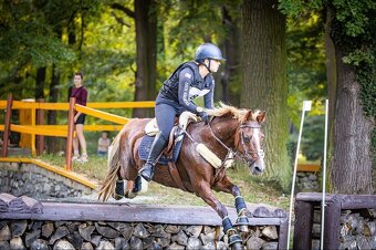 Pony B do sportu - 3