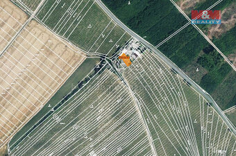 Prodej pole, 300 m², Dolní Bojanovice - 3