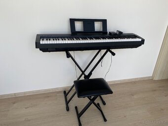 Yamaha P-45 - 3