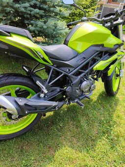 Benelli bn 125 - 3