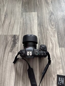 Canon RP + Canon 50mm 1.8 - 3