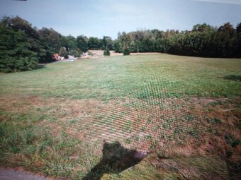 Prodám krásný pozemek na Hamrskách (jizerské hory) I. - 3