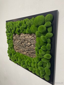 Umělý mechový obraz - 3