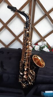 Saxofon Es alt. - 3