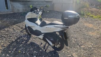 Honda pcx 125 2022 - 3