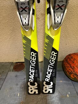 Wolki panske lyže - 3