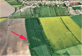 Prodej pole, 1981 m², Kněždub - 3
