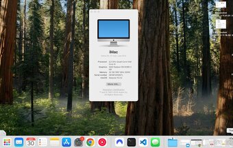 iMac 27" Late 2015 | i5 3,2 GHz | 32 GB RAM | 256 solid-sta - 3