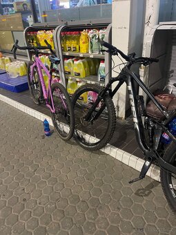 Trek Remedy 8/9 - 3