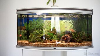Panoramatické akvárium vč. LED osvětlení a externího filtru - 3