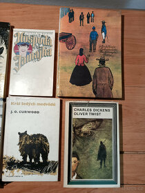 Knihy pro děti, mládež i dospělé - mix žánrů - 3