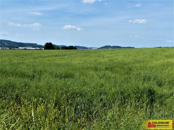 Letovice - zemědělská půda  7 225 m² - pozemek - 3