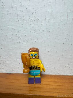 Lego Minifigures Series 15 - 3