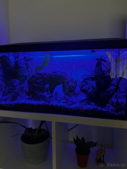 Akvarijni set komplet - 3