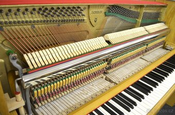 SCHOLZE - Doprava ZDARMA - ZÁRUKA 2 roky. - 3