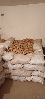 Brambory konzumní - 3