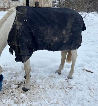 Výběhová deka 300 g - 3