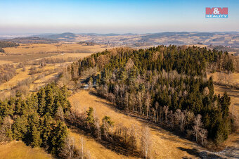 Prodej lesa, 42761 m², Nišovice - 3