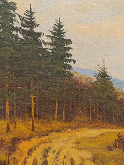 Obraz Vladimír Vondráček, olej na plátně 25x31 - 3