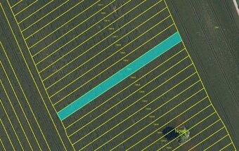Prodej polí s výbornou bonitou nedaleko Hodonína – 2,8 ha - 3
