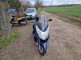 Prodám suzuki burgman uh125 - 3