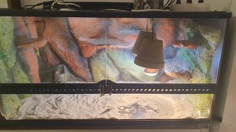 Terarium Agama vousata + svetla, pisek atd - 3