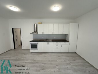 Pronájem bytu 1+kk 55 m², Ústí nad Labem - Střekov - 3