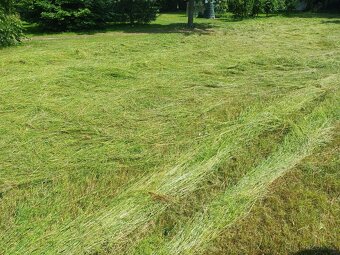 seno malé balíky - 3