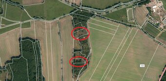 Prodej lesa 3594m2 - 3