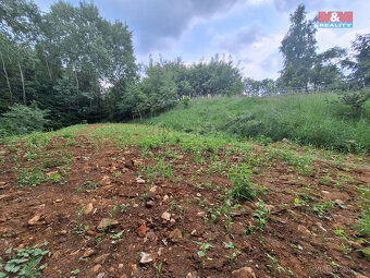 Prodej pozemku k bydlení, 2559 m², Třebařov - 3