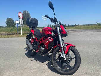 Benelli BN 125 - 2019 - Červená - 3