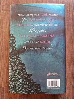 Laurelin Paigeová - Závislá na Tobě - 3