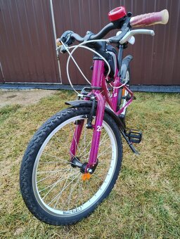 Dívčí kolo Superior Paint 20 - 3