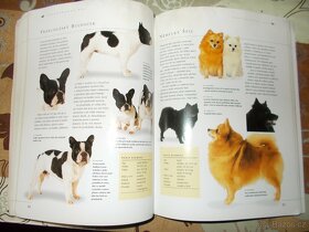 Encyklopedie psi,Dášeňka,Broučci,Vítek... - 3