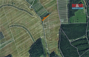Prodej lesa, 1278 m², Mouřínov - 3