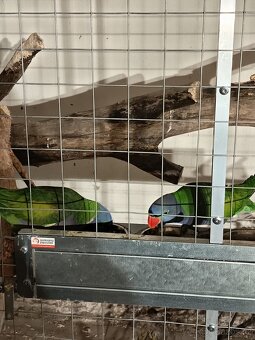 Alexandr Čínský 2.2 - 3