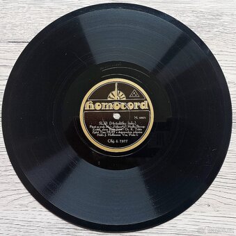 Sada 2 - 5 českých šelakových gramodesek 1930 - 1932 - 3