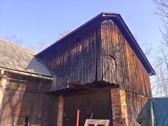 Daruji seno za odvoz - 3