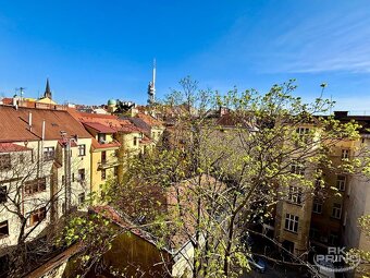Pronájem bytu 2+kk, 55 m², Husinecká Žižkov - 3